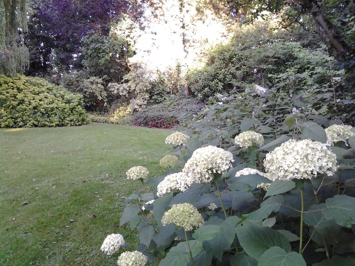 Bed and Breakfast Les Jardins Hoymille Esterno foto